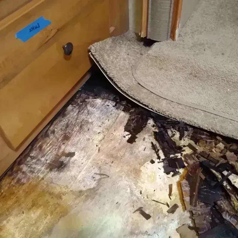 Best Wood Floor Water Damage Service in Sammamish, WA